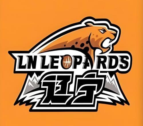 伊朗对阿联,酋上半场补,时因照明中,MK体育,MK体育官网,H5MK体育官网,MK体育官网玩家首选