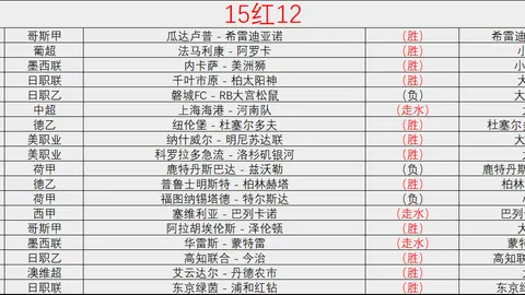 德國隊奪得歐洲杯冠軍，納格爾曼鼓勵球員翱翔天際