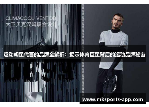 运动明星代言的品牌全解析：揭示体育巨星背后的运动品牌秘密